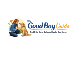The Good Boy Guide