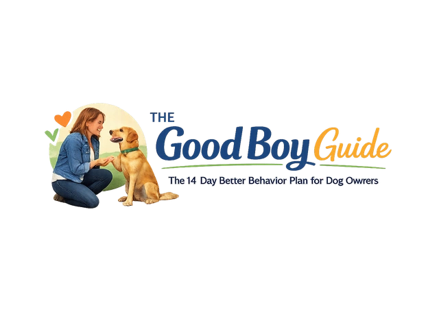 The Good Boy Guide